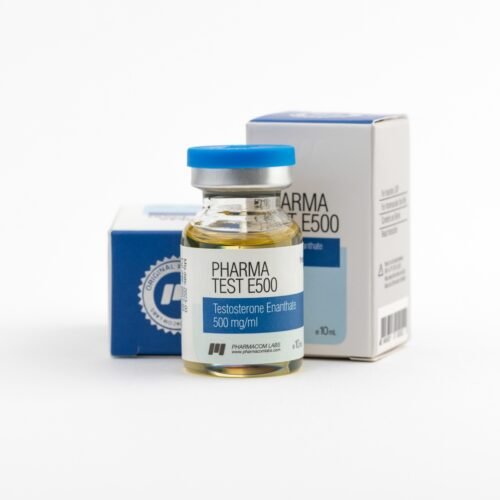 Pharmatest E 500